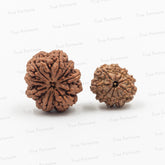 9 Mukhi - Nav Durga / Bhairav