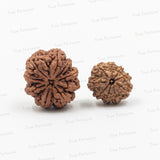 9 Mukhi - Nav Durga / Bhairav