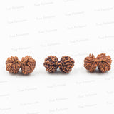 Gauri Shankar Rudraksh