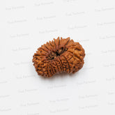 15 Mukhi - Pashupatinath