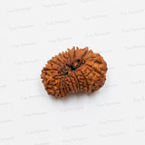 15 Mukhi - Pashupatinath