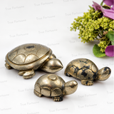 Pyrite Tortoise