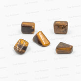 Tiger Eye - Tumble ( Pack of 5 )