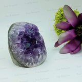 Brazilian Amethyst Mini Geode