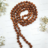 Rudraksh Jaap Mala